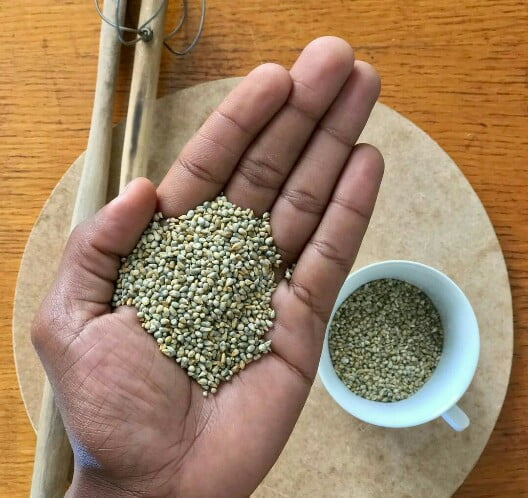 Nigerian pearl millet: 10 proven health benefits and nutrition