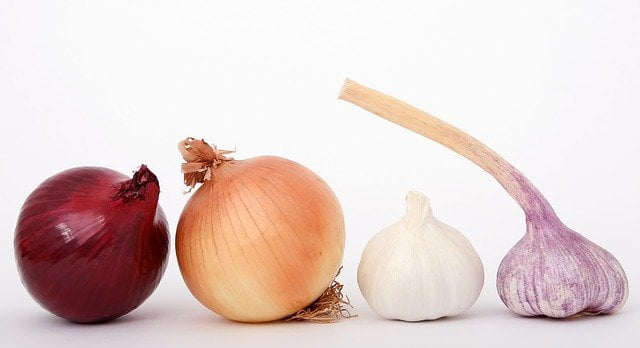 garlic natural remedy for cold