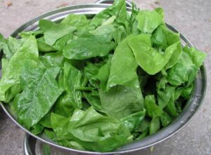 Oha leaf (Ora): Nutrition, Health benefits, and Recipes