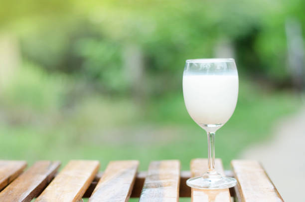 Palm wine: Nutrition, Benefits, and side effects