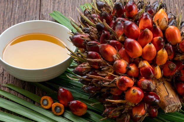 Palm kernel oil: Benefits for hair, skin, and health